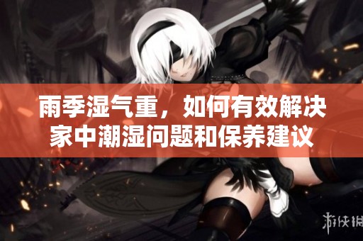 雨季湿气重，如何有效解决家中潮湿问题和保养建议