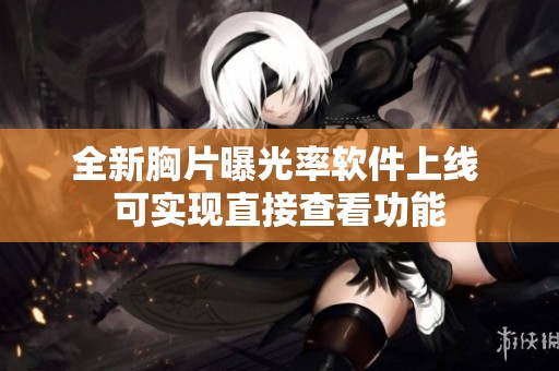 全新胸片曝光率软件上线 可实现直接查看功能