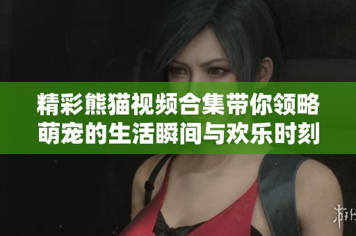 精彩熊猫视频合集带你领略萌宠的生活瞬间与欢乐时刻