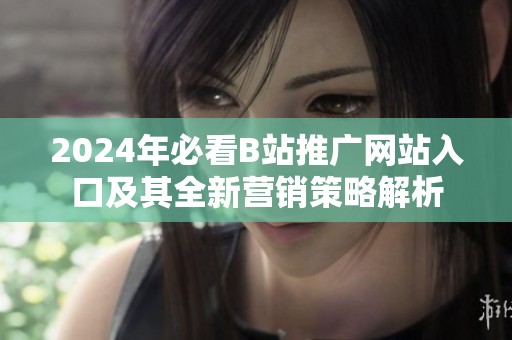 2024年必看B站推广网站入口及其全新营销策略解析
